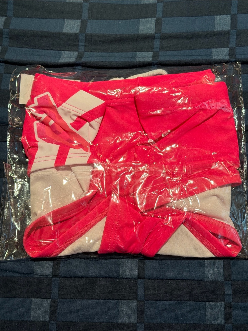 Nasty Pig Cannonball Sunga Hot Pink Swim Briefs Large NWT